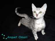 Sweet little Omari