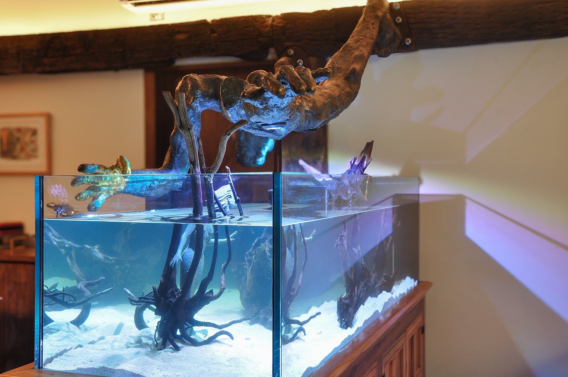 A cycled community aquarium with plants, filter and a heater on a stand