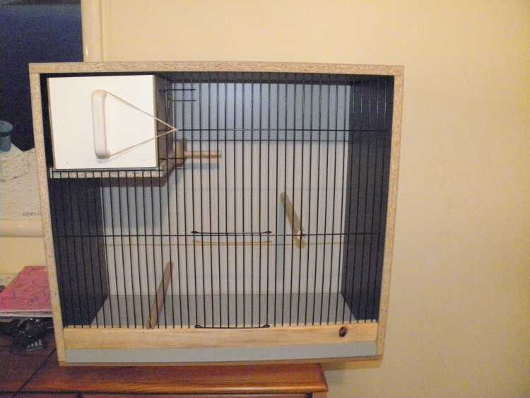 Budgie peach face breeding cabinet 24&quot; x 18&quot; with 
