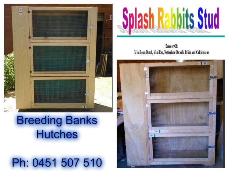 Breeding Banks &amp; Hutches - (Ordered Then Built)