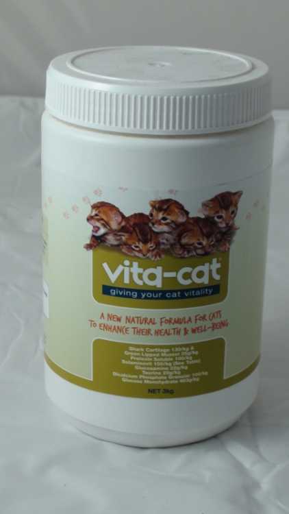 Vita - Cat